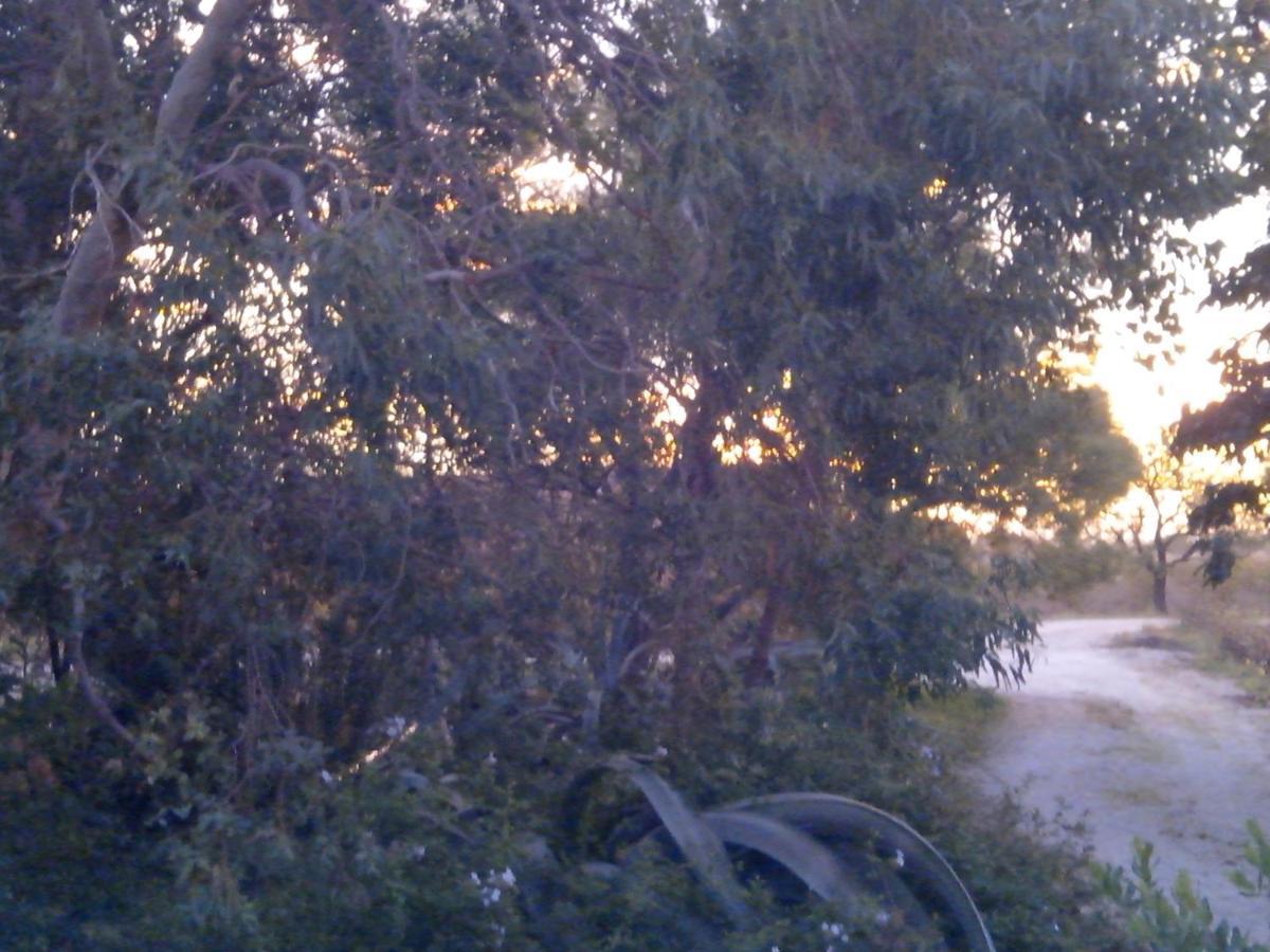 Bed and Breakfast Mas Soleil Et Vignes Saint-Hippolyte  Exterior foto