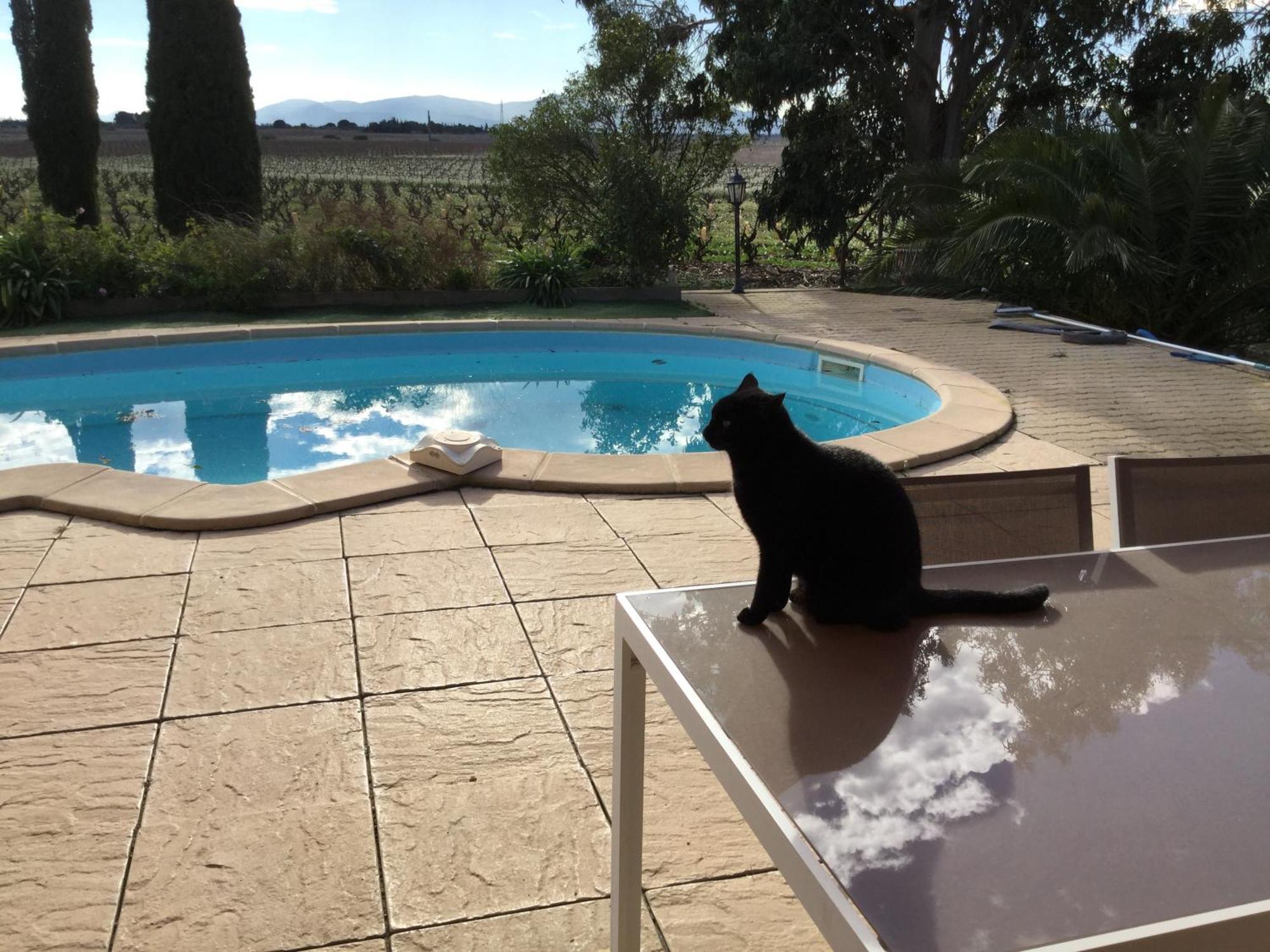 Bed and Breakfast Mas Soleil Et Vignes Saint-Hippolyte  Exterior foto